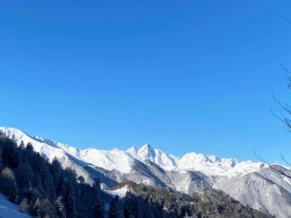 Pleine Nature Pied Pistes Piscine Chauffee Ustou エクステリア 写真